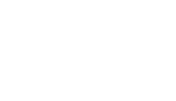 Instituto 11