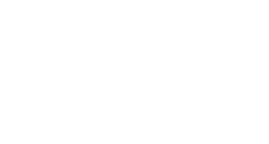 Alcanza tus Sueños
